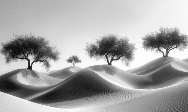 Minimalistic Tree Series