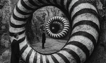 Geometries of Lives