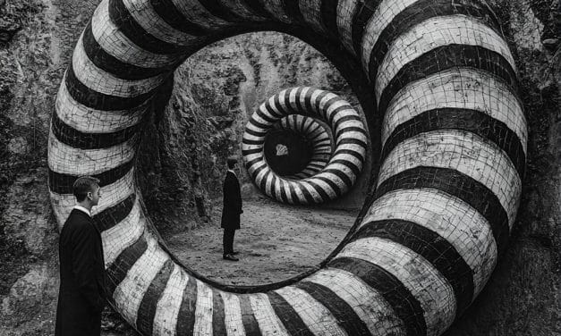 Geometries of Lives